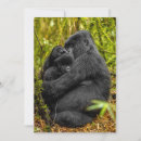 Search for gorilla thank you cards Monkey