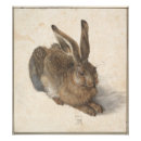 Search for young animal posters Rabbit