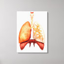 Search for larynx Medical