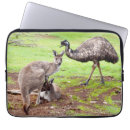 Search for australian birds electronics Animal