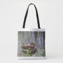 Search for wild duck bags Pond