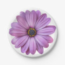 Search for daisy plates Flowers