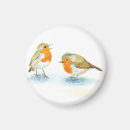 Search for red bird magnets Winter