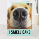 Search for big dog birthday cards Funny