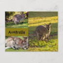 Search for joey postcards Baby