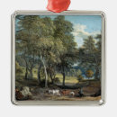 Search for timber tree Wood