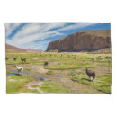 Search for south america pillowcases Alpaca
