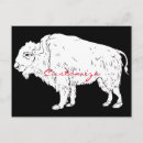 Search for cheyenne postcards Bison