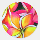 Search for plumeria wedding stickers Frangipani