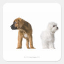 Search for two dogs stickers Nature