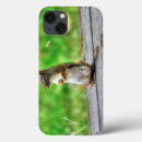 Search for squirrel picture cases Wildlife