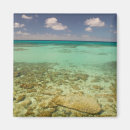 Search for turks and caicos magnets Tropical