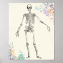 Search for vintage medical skeleton posters Biology