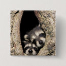 Search for racoon badges Furry