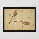 Search for pisces postcards Constellation