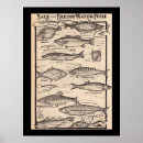 Search for flyfishing posters Angling