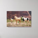 Search for buckskin art Paint