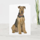 Search for airedale terrier dog cards Puppy