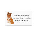 Search for rescue labels Puppy