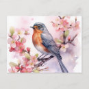 Search for robin painting postcards Nature