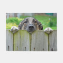 Search for german shepherd doormats Cute