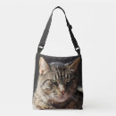 Search for crabby bags Feline