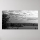 Search for amanda art Photography