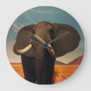 Search for conservation clocks Wildlife