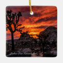 Search for joshua christmas tree decorations Sunset