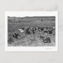 Search for devils postcards Oregon