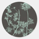 Search for botanical study stickers Grey
