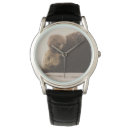 Search for otter watches Animals in the wild