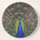 Search for peacock coasters Colourful