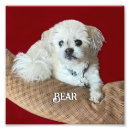 Search for trivet posters Animals
