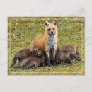 Search for mothers day love postcards Nature