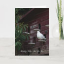 Search for dove birthday cards White