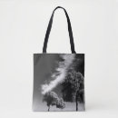 Search for road tree bags Trees