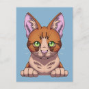 Search for adorable vertical postcards Kitten