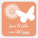 Search for peach daisies stickers Daisy