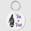 Search for and tan coonhound accessories Black