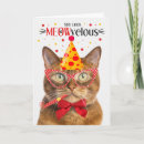 Search for ginger cat birthday cards Pets