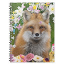 Search for field notes notebooks For kids