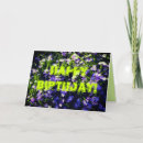 Search for carpet cards Floral