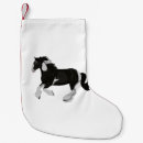 Search for gypsy vanner horse Animal