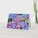 Search for lavender bouquet cards Garden