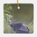 Search for wild turkey christmas tree decorations Birds