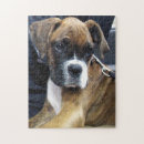 Search for boxer dog puzzles Puppy