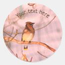 Search for winter nature stickers Bird
