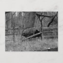 Search for wagon postcards Wheel