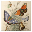 Search for butterfly tiles Moth